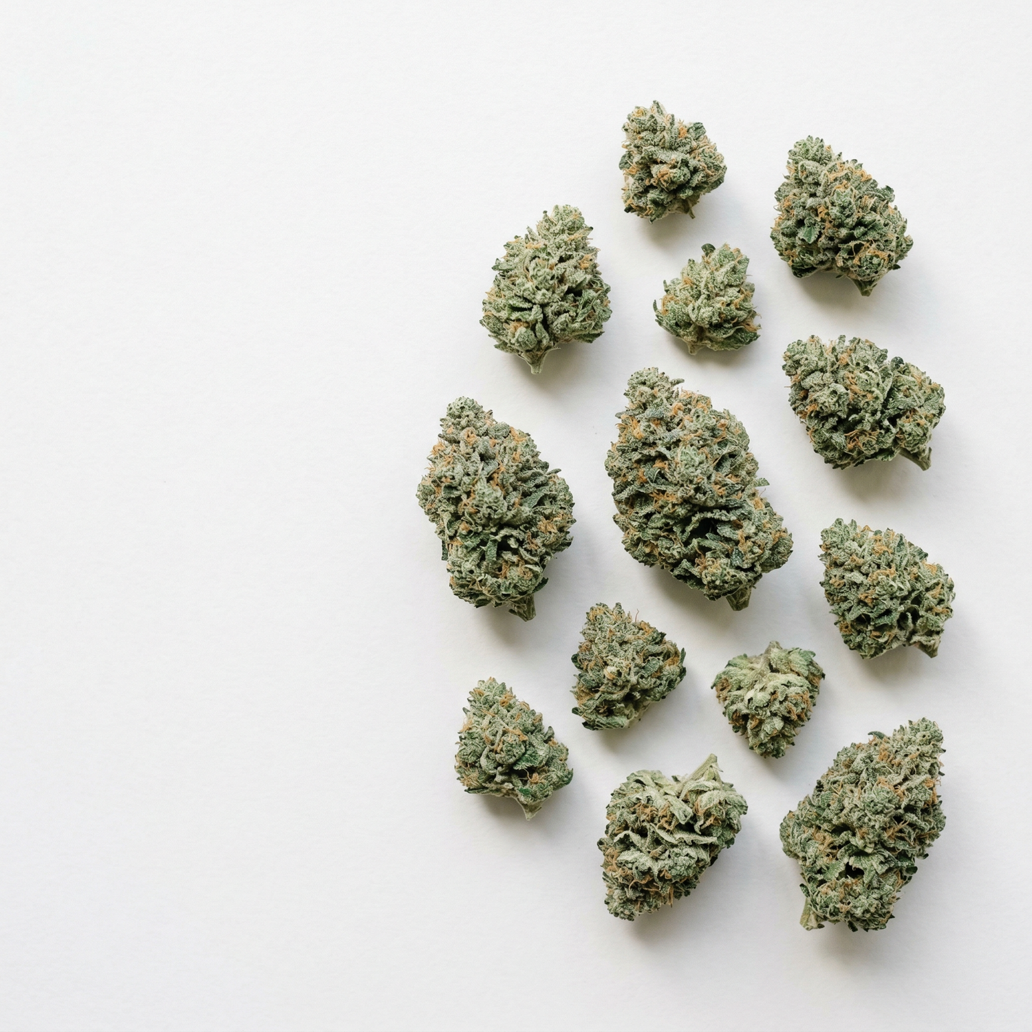 Premium CBD hemp flower buds arranged on dark surface for wholesale distribution