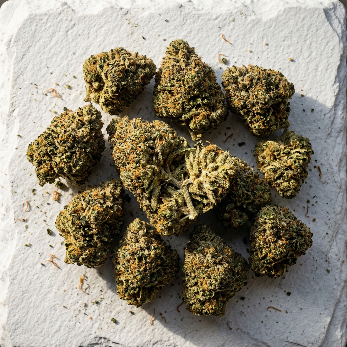 Premium THCA hemp flower buds on dark slate for wholesale sourcing
