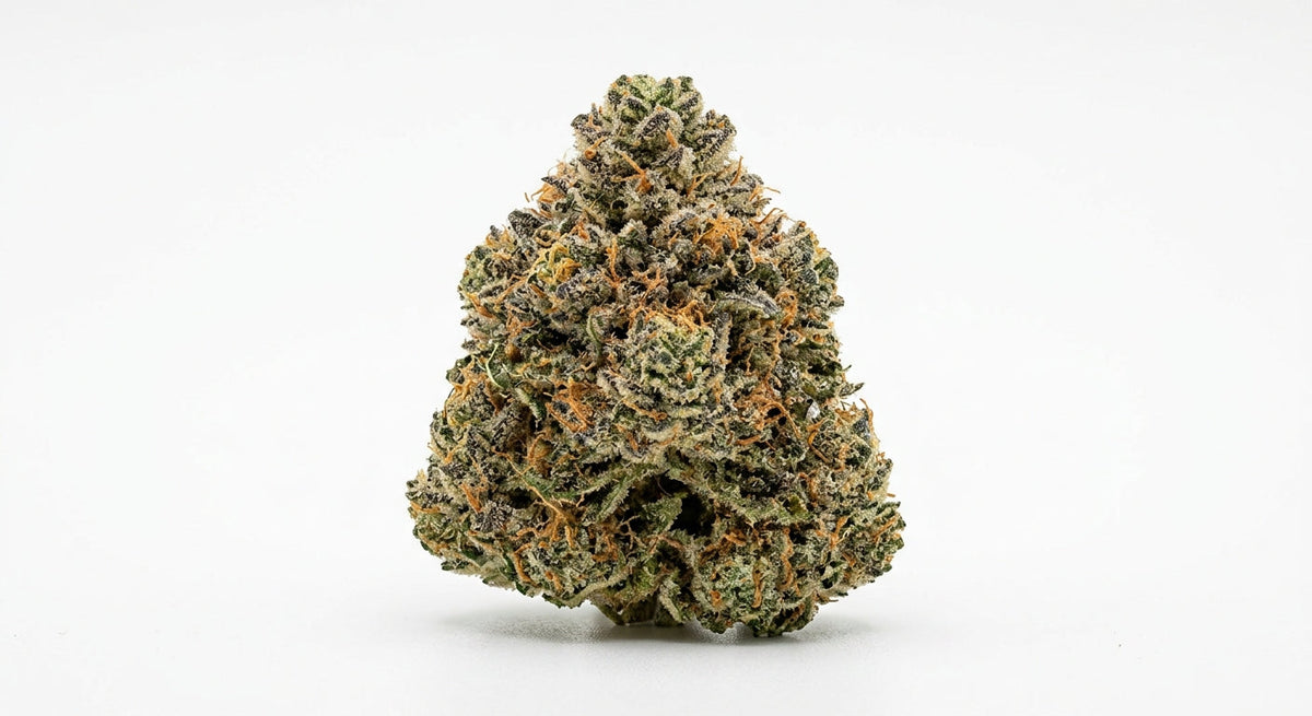 Berry Pie CBD hemp flower from the Hurcann 2026 harvest