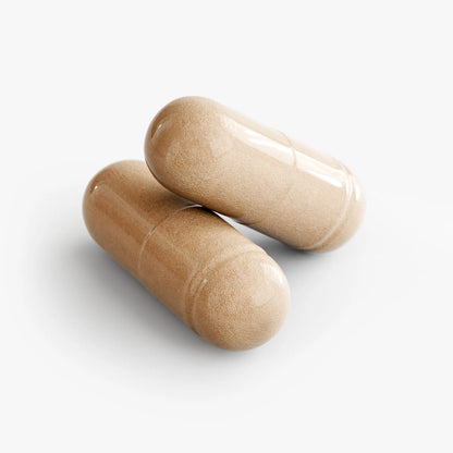Mushroom Complex 10X Capsules | 10-Mushroom Blend for Focus, Immunity and Adaptogenic Support | Lion’s Mane, Reishi, Chaga and More – hemp oil capsule – detail view | Hurcann