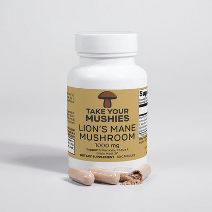 Lion's Mane Mushroom – mushroom products – detail view | Hurcann