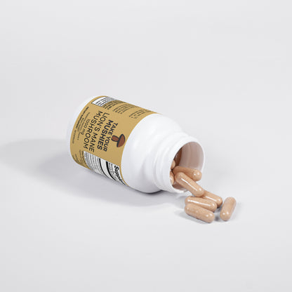 Lion's Mane Mushroom