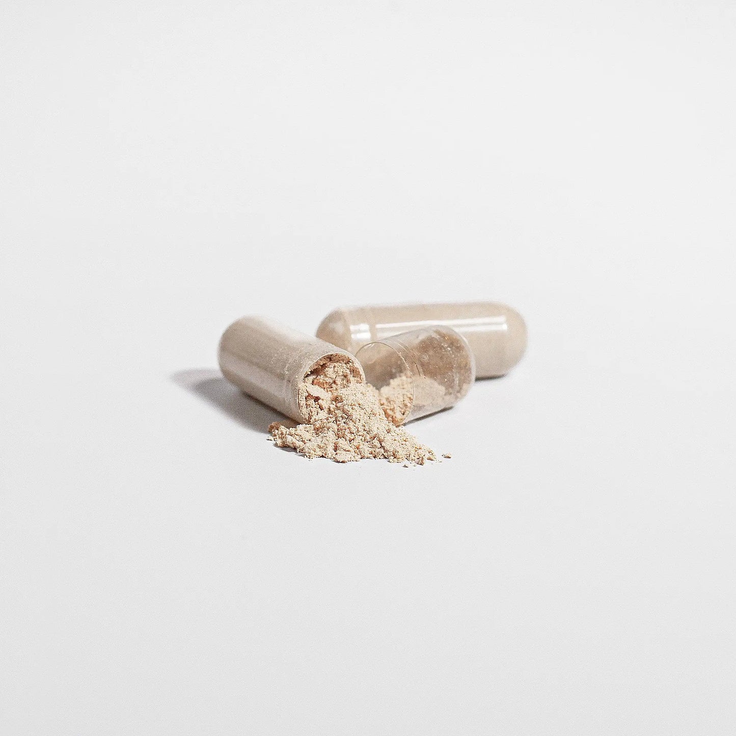 Chaga Mushroom – mushroom products – detail view | Hurcann