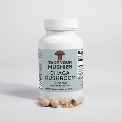 Chaga Mushroom – mushroom products – detail view | Hurcann