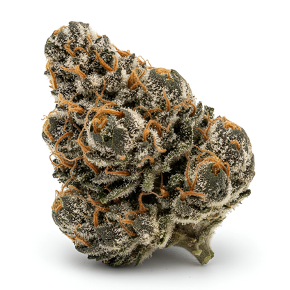 Alternative angle photo of Glitter Bomb THCA hemp flower hybrid AAA grade, showing sparkling bright green and purple buds coated in thick trichomes, 29 percent THCA, lineage Grape Gas x OG Kush