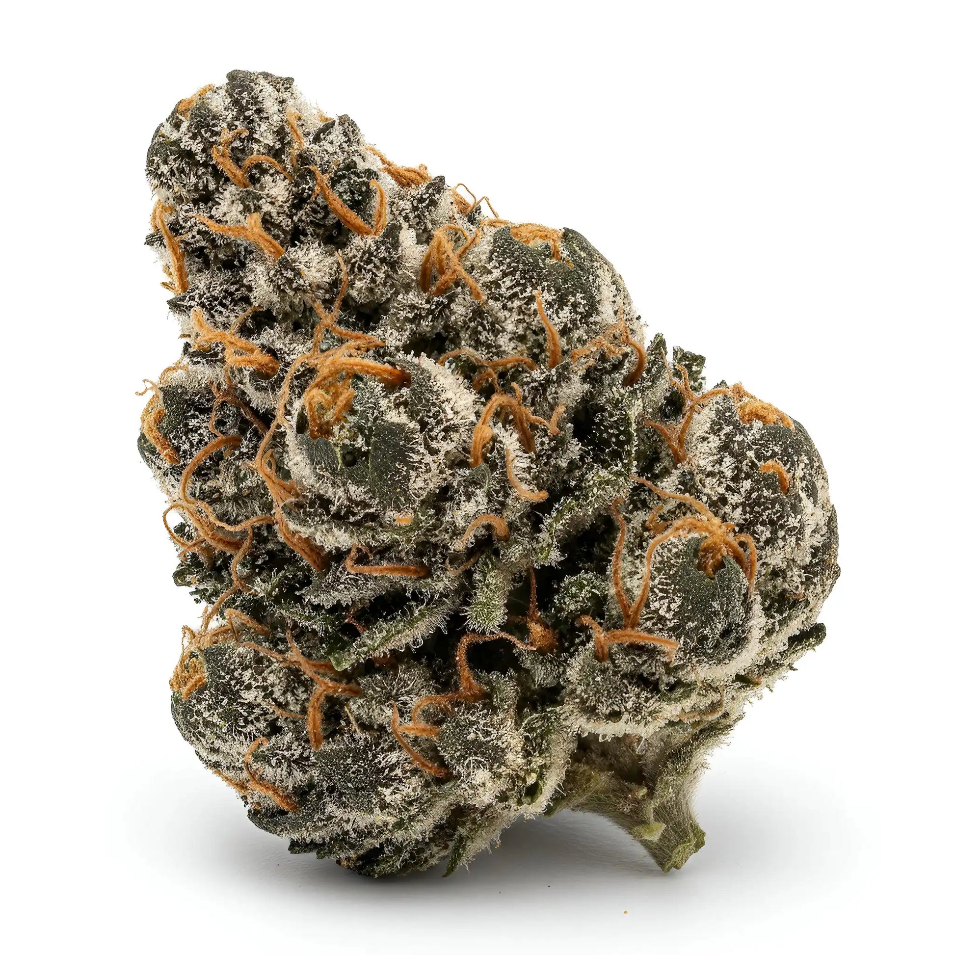 Alternative angle photo of Glitter Bomb THCA hemp flower hybrid AAA grade, showing sparkling bright green and purple buds coated in thick trichomes, 29 percent THCA | Hurcann
