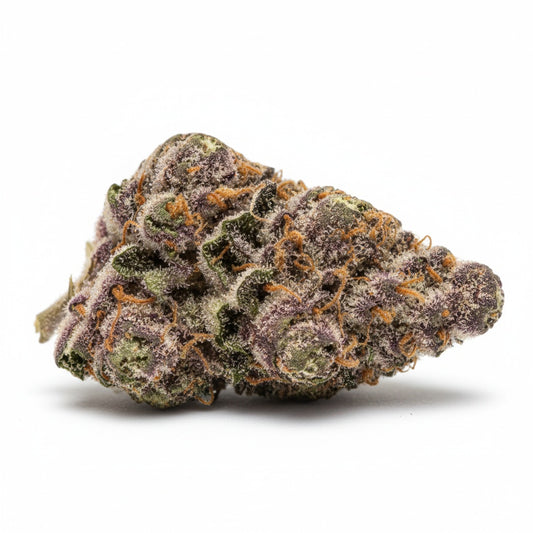Sparkling buds with bright green and purple hues.
