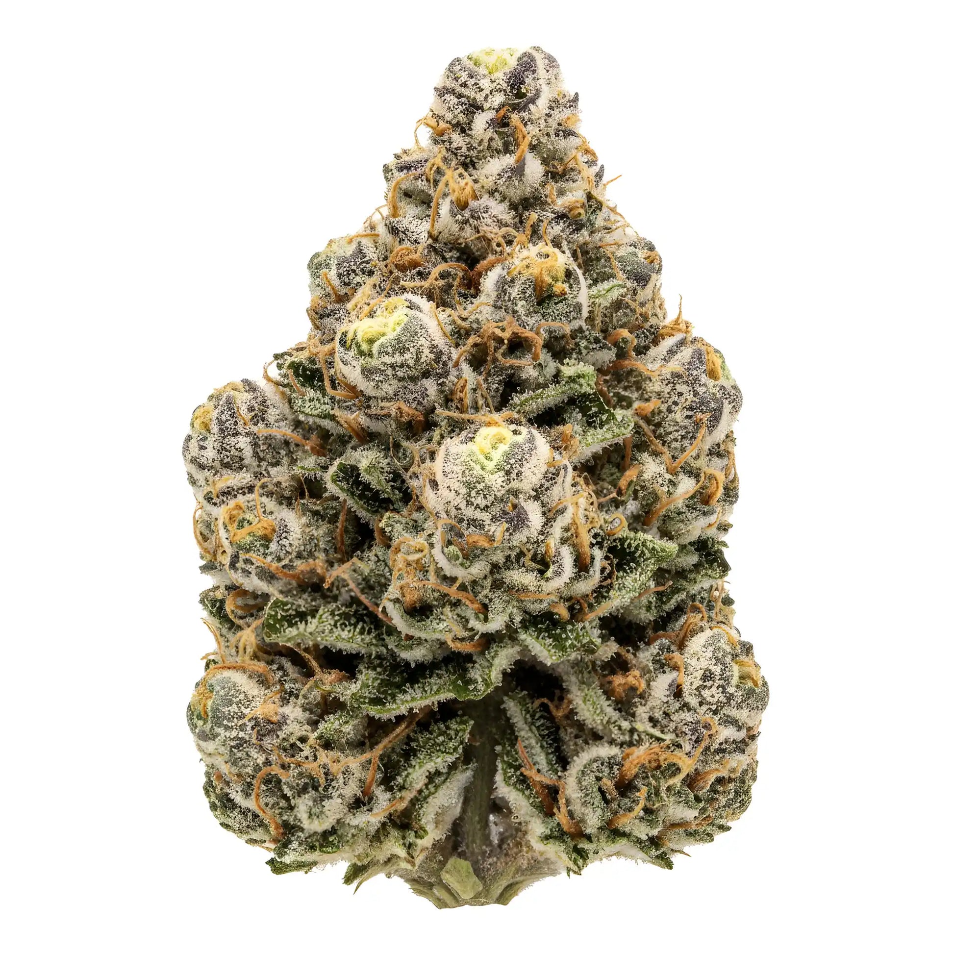 Alternative angle photo of Ghosted THCA hemp flower hybrid AAA grade, showing pale green and icy white buds with shimmering trichomes and thin orange hairs, 31 percent THCA, lineage Ghost OG | Hurcann