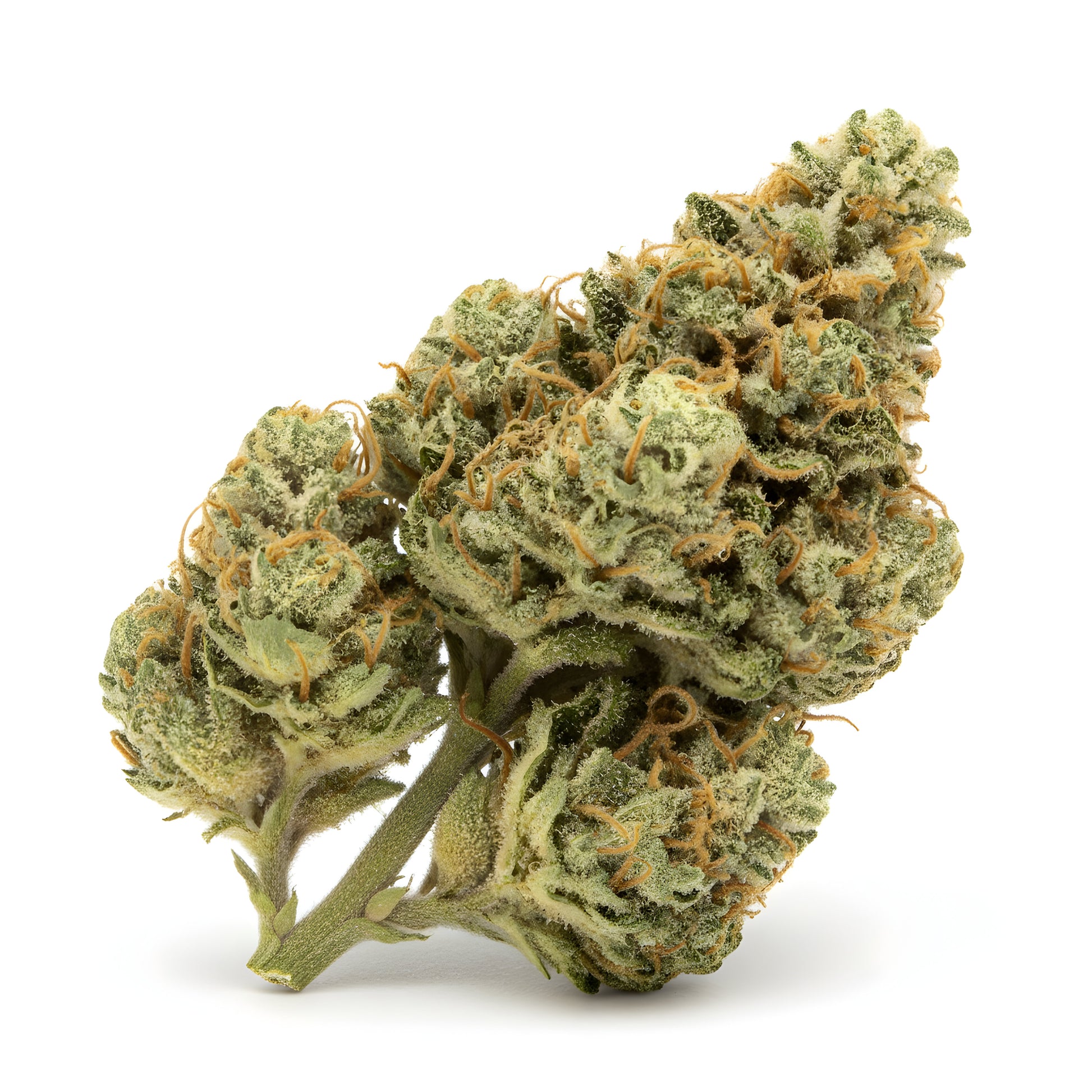 Alternative angle of Lemon Love THCa hemp flower AAA grade, highlighting bright lemon-toned buds with orange streaks