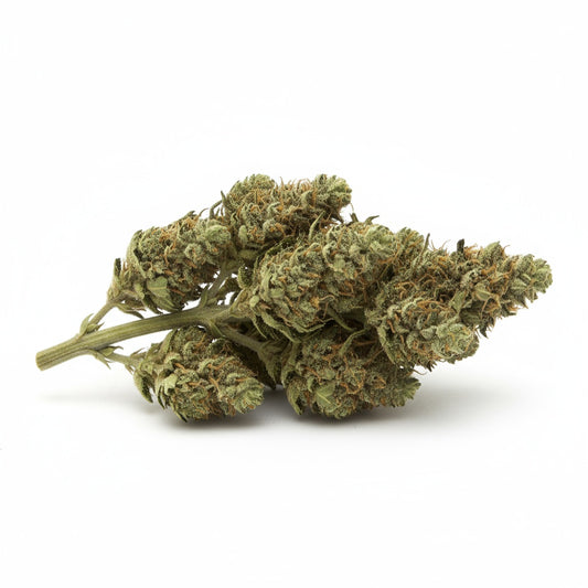 Jet Fuel buds are light green with fiery orange pistils and a frosty trichome finish