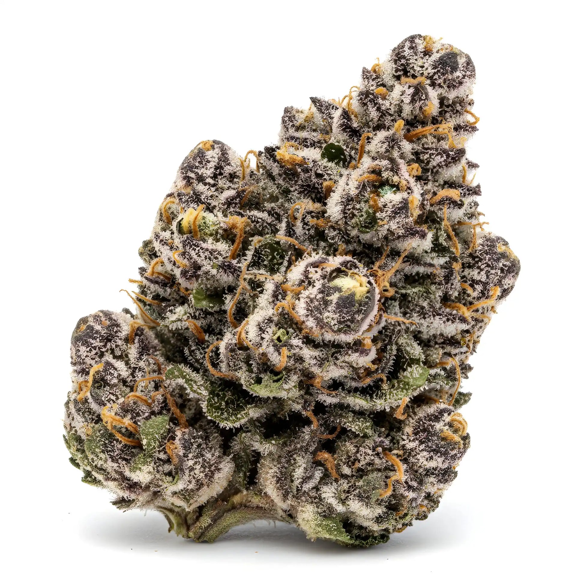 Alternative angle photo of Grape Cherry Gelato THCA hemp flower hybrid AAA grade, showing deep forest green buds with violet streaks, sticky resin, bright orange hairs | Hurcann