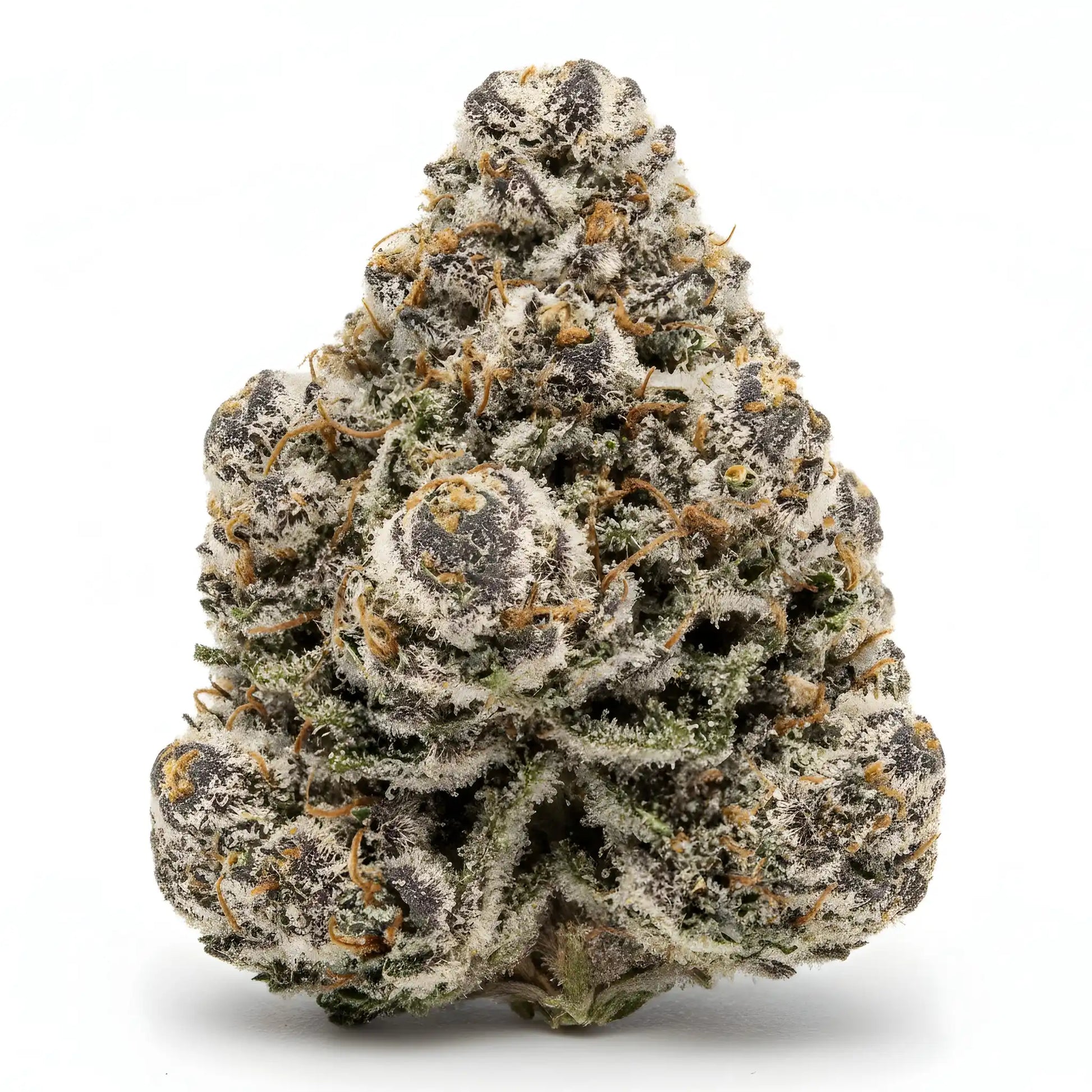 Oreoz Blizzard THCA Hemp Flower Wholesale | Hurcann