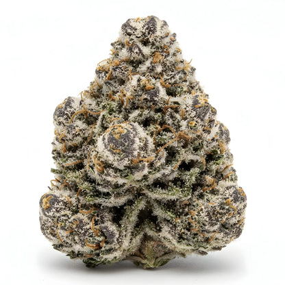 Alternative angle photo of Oreoz Blizzard THCA hemp flower indica dominant AAA grade, showing thick frosty buds with dark purple tones and white crystal trichomes | Hurcann