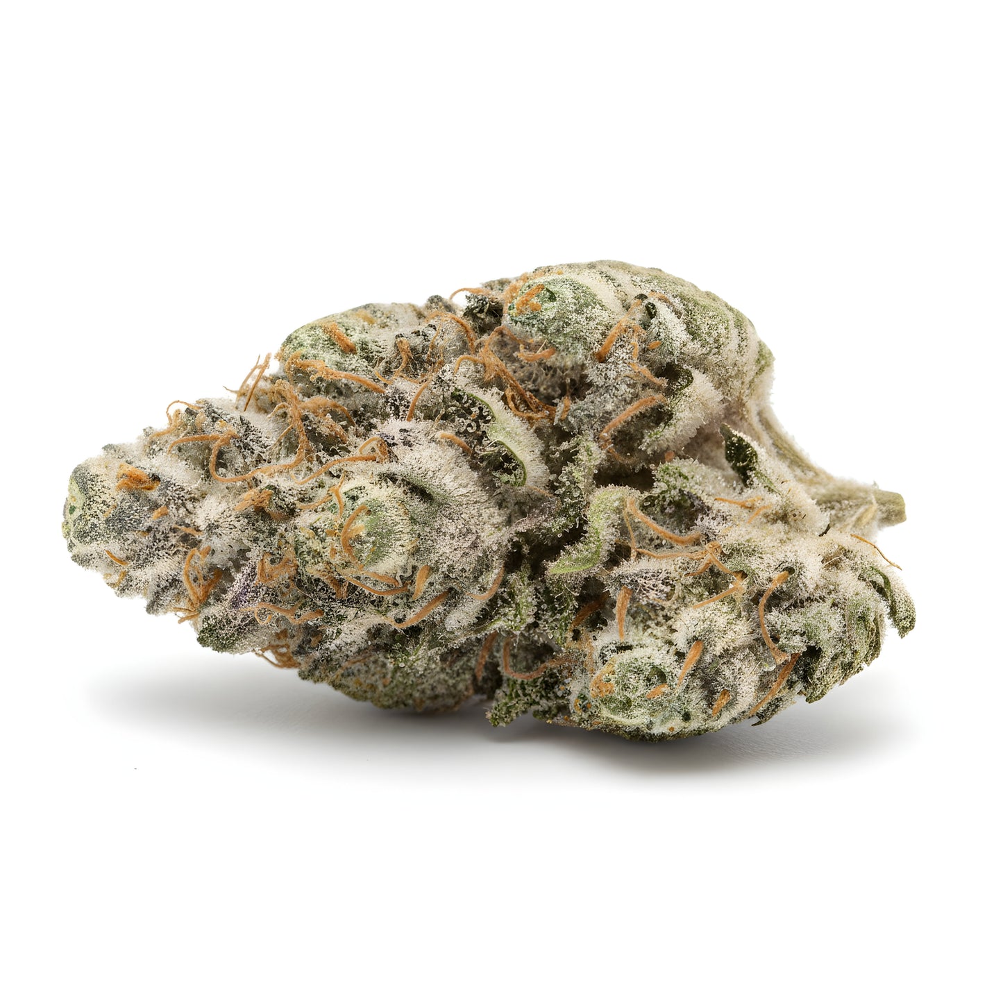 Alternative angle photo of Plant Sherb THCA hemp flower indica dominant AA grade, showcasing chunky purple buds with orange pistils and heavy trichome coverage, 26 percent THCA