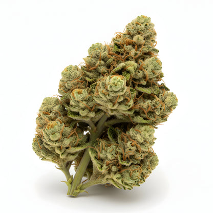 Alternative Angle of Yellow Tail THCa Hemp Flower showing bright lime-green sativa-dominant hybrid buds with orange hairs, golden hues
