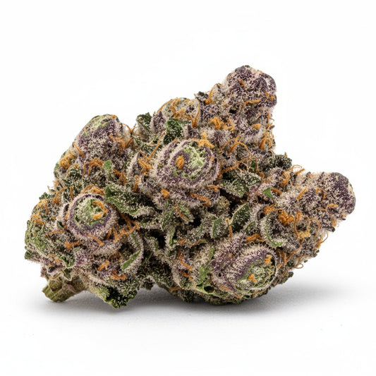 Super Boof features dense, chunky buds with deep purple hues and fiery orange pistils blanketed in trichomes.