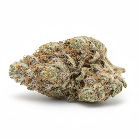 Plant Sherb features chunky, trichome-covered buds with purple tones and orange pistils