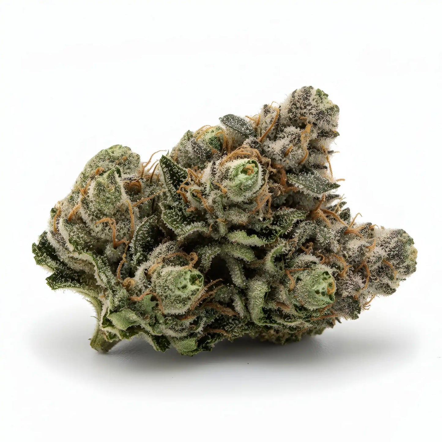 Alternative angle image of Afghani Kush THCa hemp flower AA grade, highlighting compact resinous structure and deep emerald tones | Hurcann