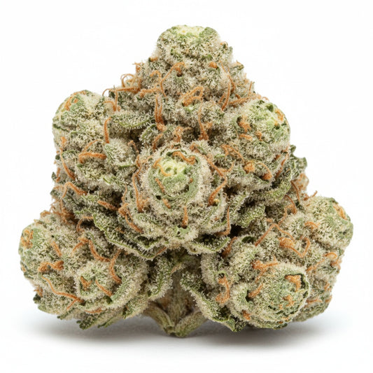 Zoap’s buds are compact and colorful, featuring a mosaic of bright greens, purples, and frosty trichomes