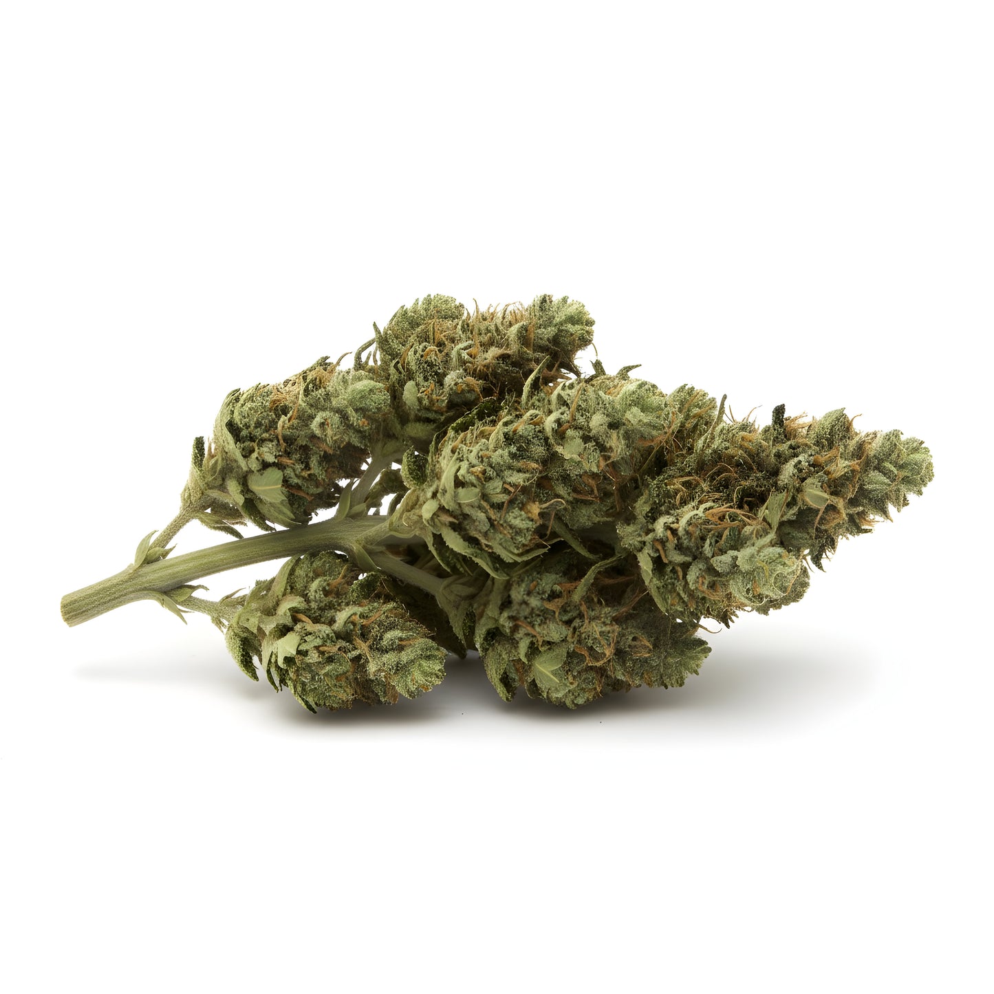 Alternative angle of Jet Fuel THCA hemp flower A-Grade, showing classic sativa-leaning bud structure