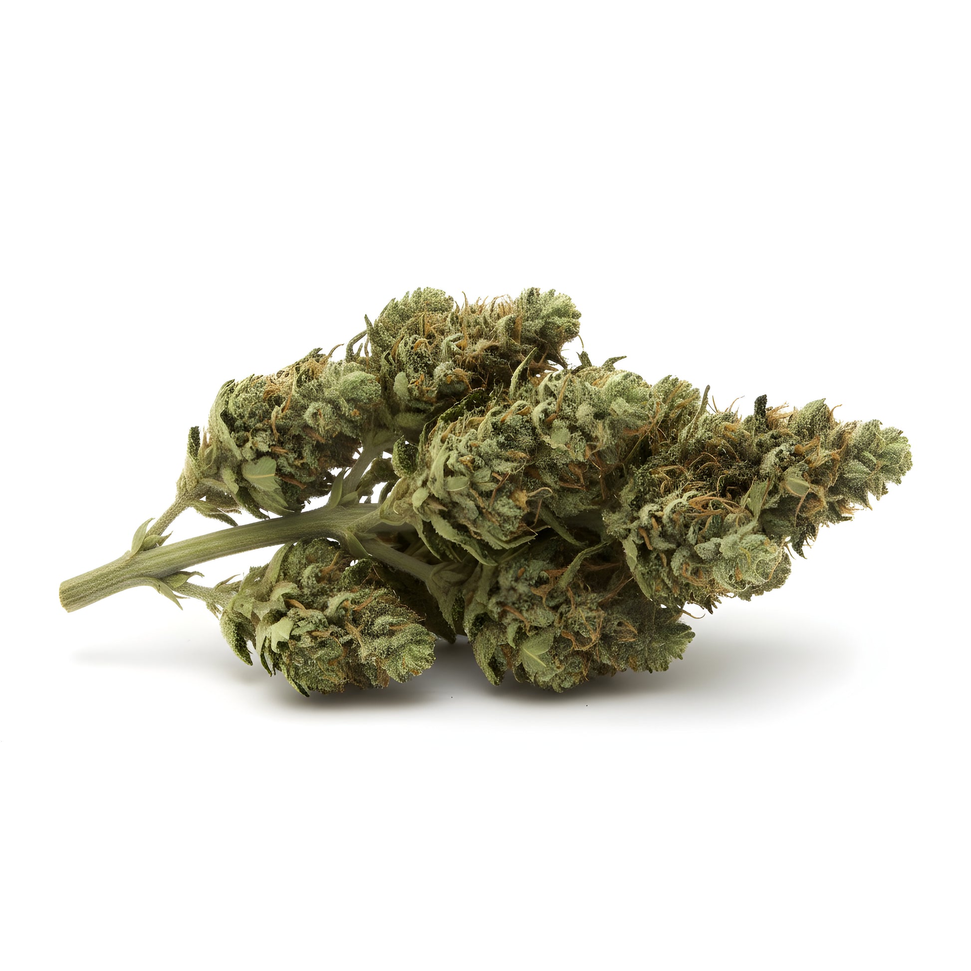 Alternative angle of Jet Fuel THCA hemp flower A-Grade, showing classic sativa-leaning bud structure