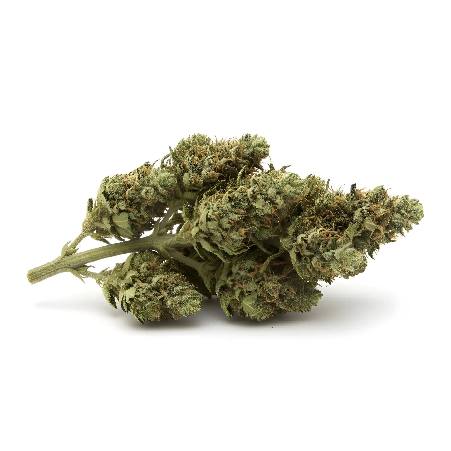 Alternative angle of Jet Fuel THCA hemp flower A-Grade, showing classic sativa-leaning bud structure | Hurcann
