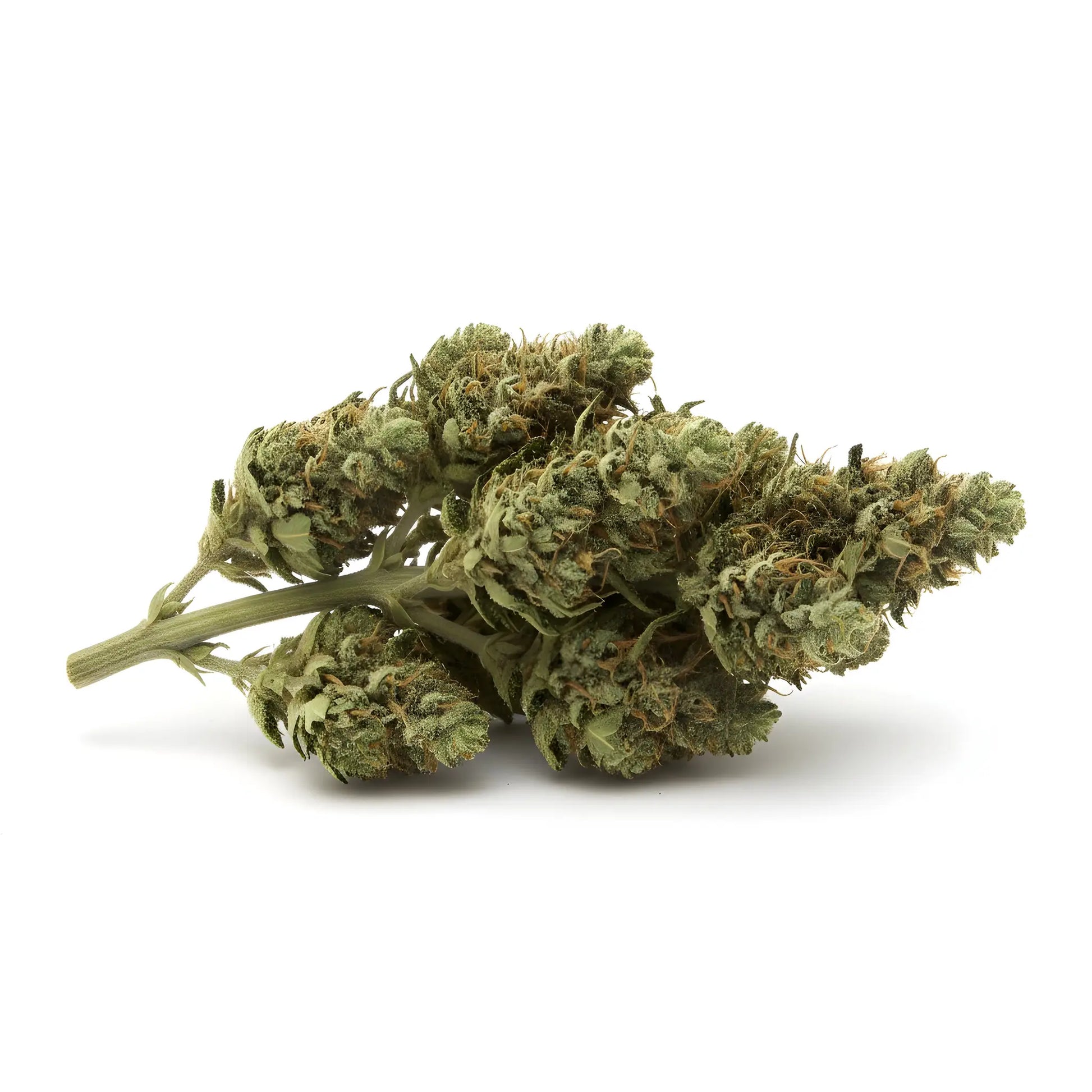 Alternative angle of Jet Fuel THCA hemp flower A-Grade, showing classic sativa-leaning bud structure | Hurcann