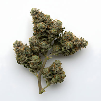 Alternative angle image of Moonblast THCa hemp flower AAA grade, highlighting deep purple hues and frosty trichome coverage