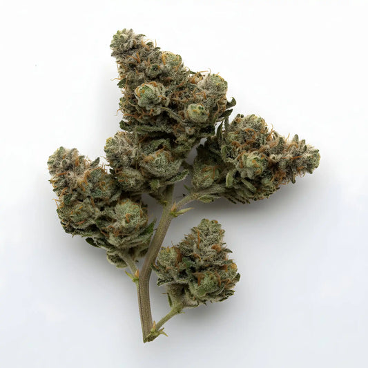 Alternative angle image of Moonblast THCa hemp flower AAA grade, highlighting deep purple hues and frosty trichome coverage | Hurcann