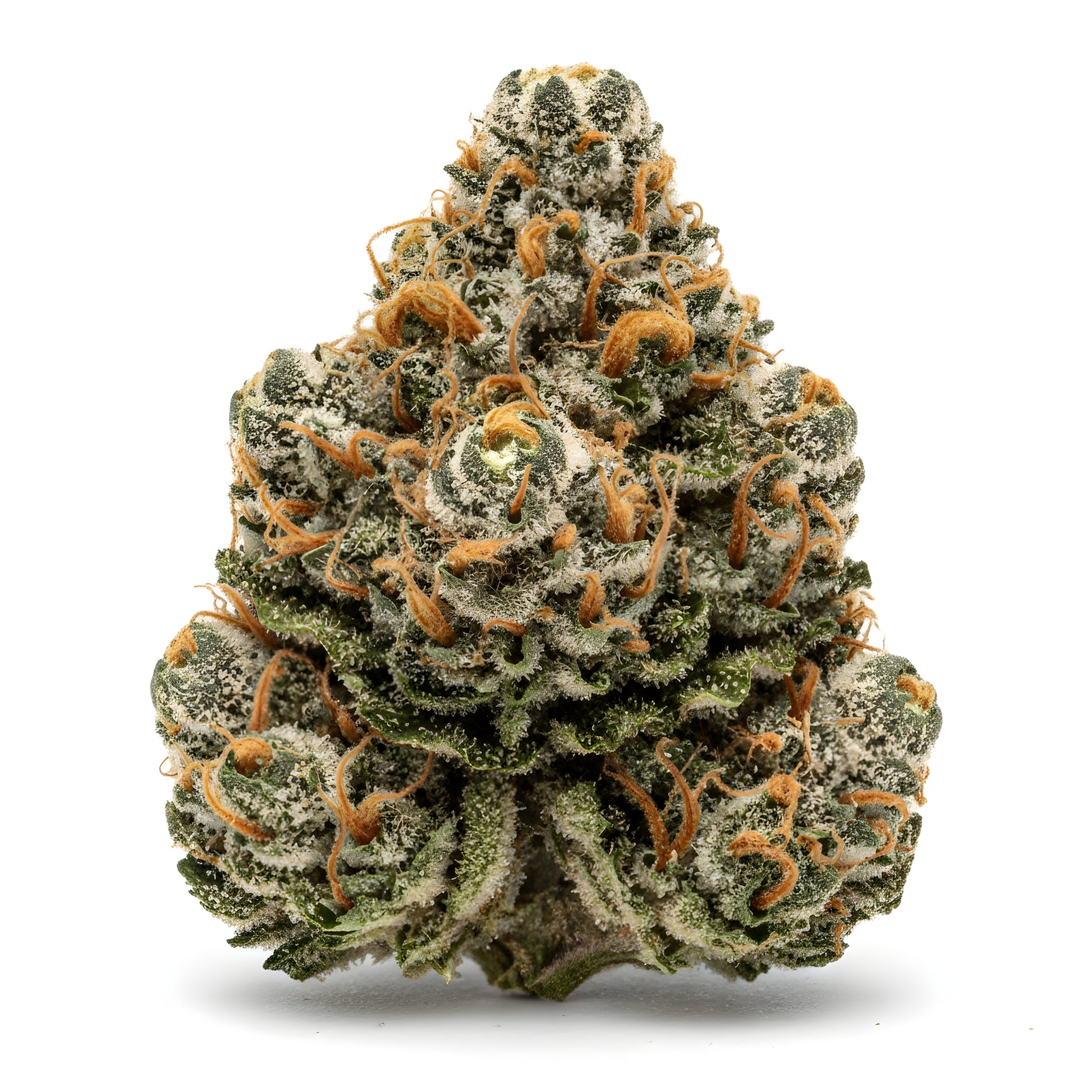 Alternative angle photo of Oh La La THCA hemp flower hybrid AAA grade, showing medium dense buds with pink violet and mint green hues coated in shimmering trichomes