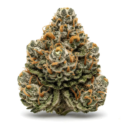 Alternative angle photo of Oh La La THCA hemp flower hybrid AAA grade, showing medium dense buds with pink violet and mint green hues coated in shimmering trichomes | Hurcann