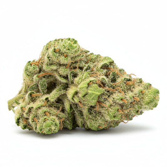Gary Eyes buds are compact and shimmering, showing deep green hues and purple flecks 