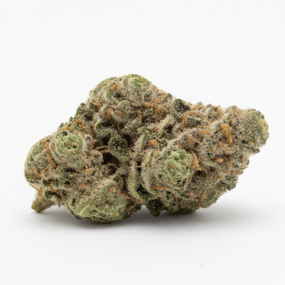 Jokerz buds are vibrant with shades of purple and green wrapped in a dense coat of trichomes
