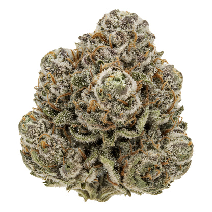 Alternative angle photo of Rainbow Reserve THCA hemp flower hybrid AAA grade, showing colorful green purple and orange buds coated in dense trichomes, 34 percent THCA, lineage Zkittlez x Rainbow Belts