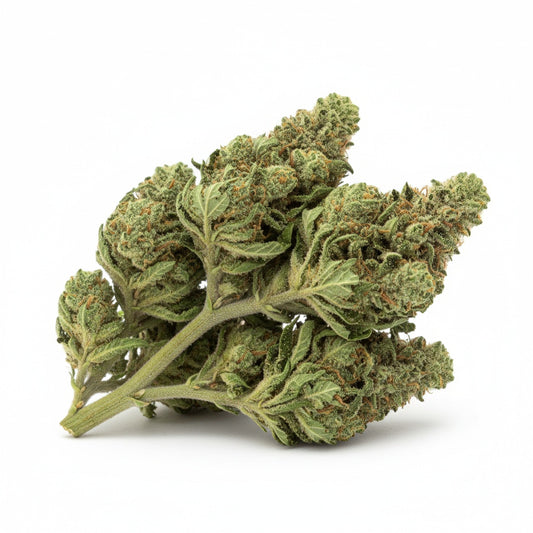 Chunky, forest-green buds covered in amber hairs and sticky resin