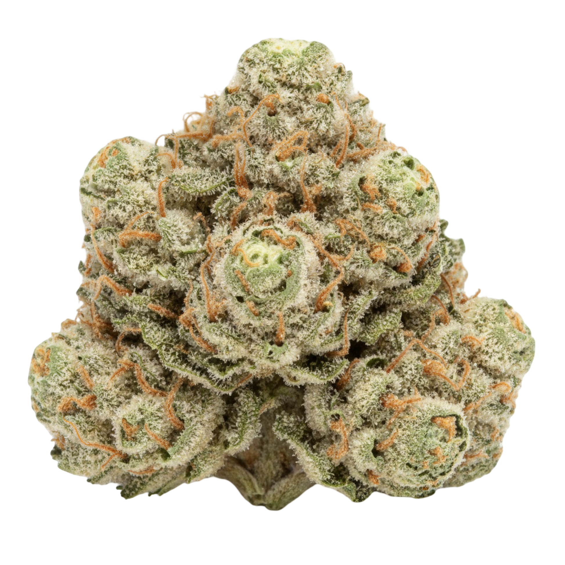 Alternative angle photo of Zoap THCA hemp flower, balanced hybrid AAA grade, showing colorful compact buds with purple hues, bright greens, and frosty trichomes, 33 percent THCA, lineage Rainbow Sherbert x Pink Guava