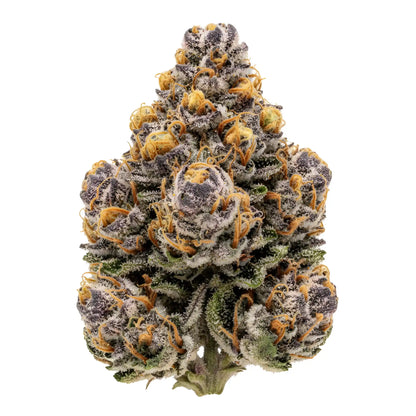 Alternative Angle of Cadillac Rainbow THCa Hemp Flower showing colorful AAA-grade hybrid buds with deep purple and green hues, bright orange hairs | Hurcann