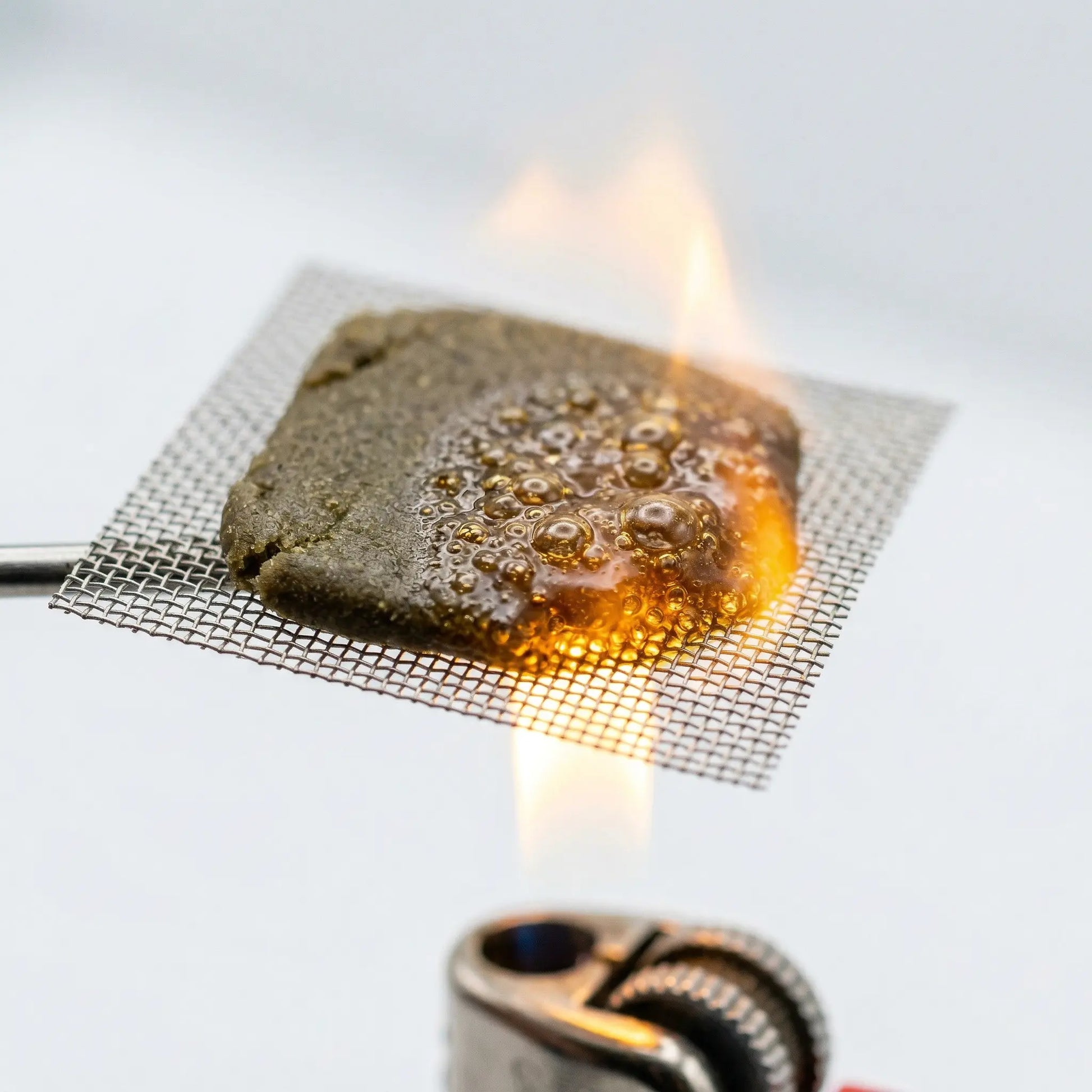 THCA bubble hash on a stainless steel mesh screen held over a lighter flame, showing amber resin bubbling and melting as proof of full melt quality