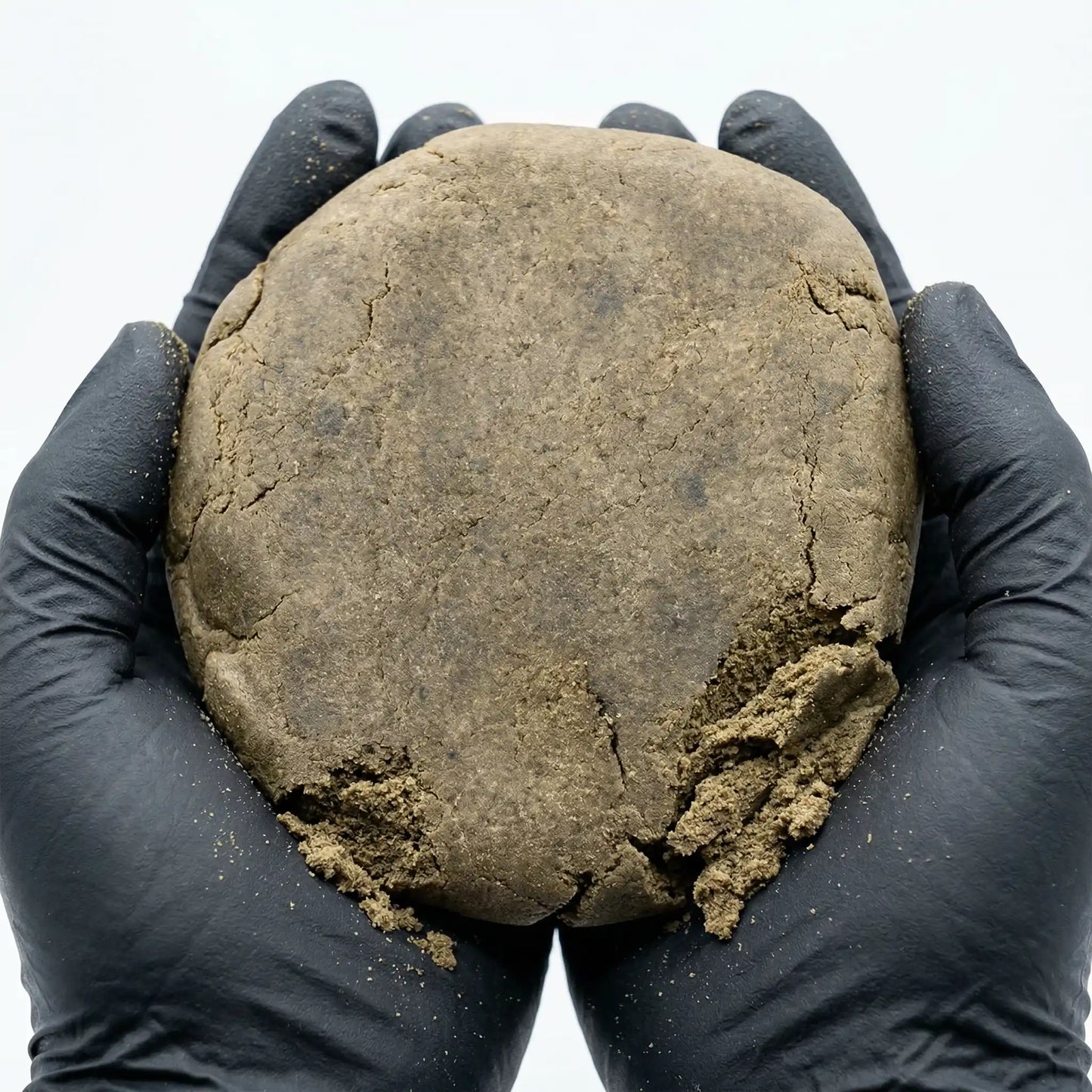 Two black-gloved hands cradling a large round CBD bubble hash disc, with visible cracks and crumbling edges revealing the fine powdery interior | Hurcann