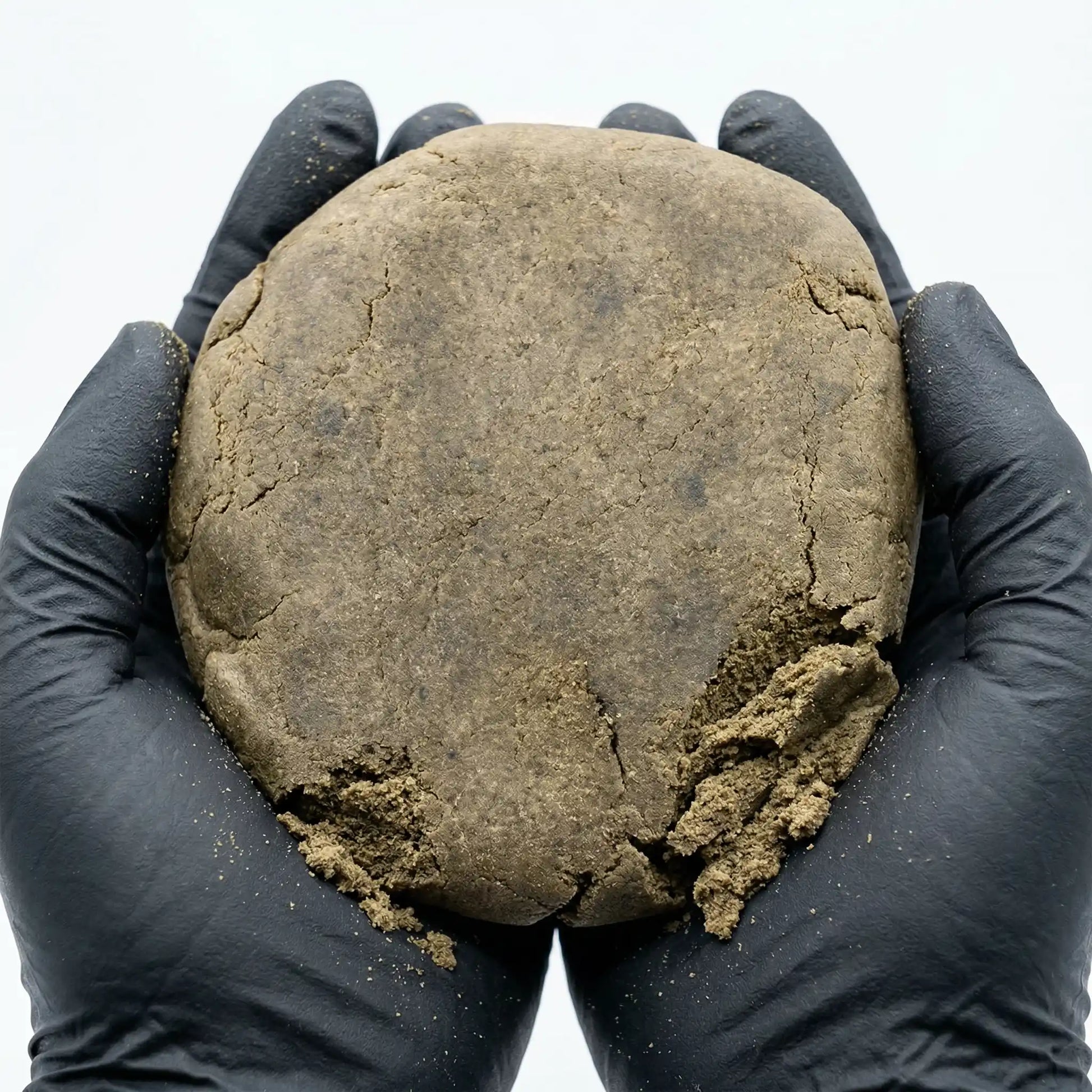 Two black-gloved hands cradling a large round CBD bubble hash disc, with visible cracks and crumbling edges revealing the fine powdery interior | Hurcann