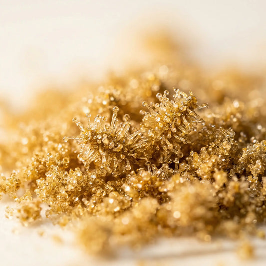Extreme macro close-up of CBD kief trichome heads on white background — golden crystalline hemp trichomes | Hurcann