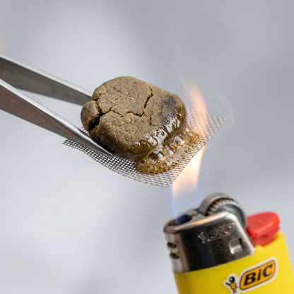 Small piece of olive-brown CBD bubble hash held with metal tweezers on a stainless steel mesh screen over a BIC lighter flame, showing amber resin bubbling and melting as proof of full melt quality