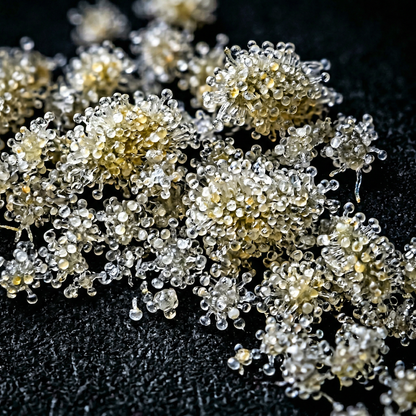 Extreme macro close-up of white CBG kief trichome clusters on black background — naturally white crystalline hemp-derived CBG trichomes