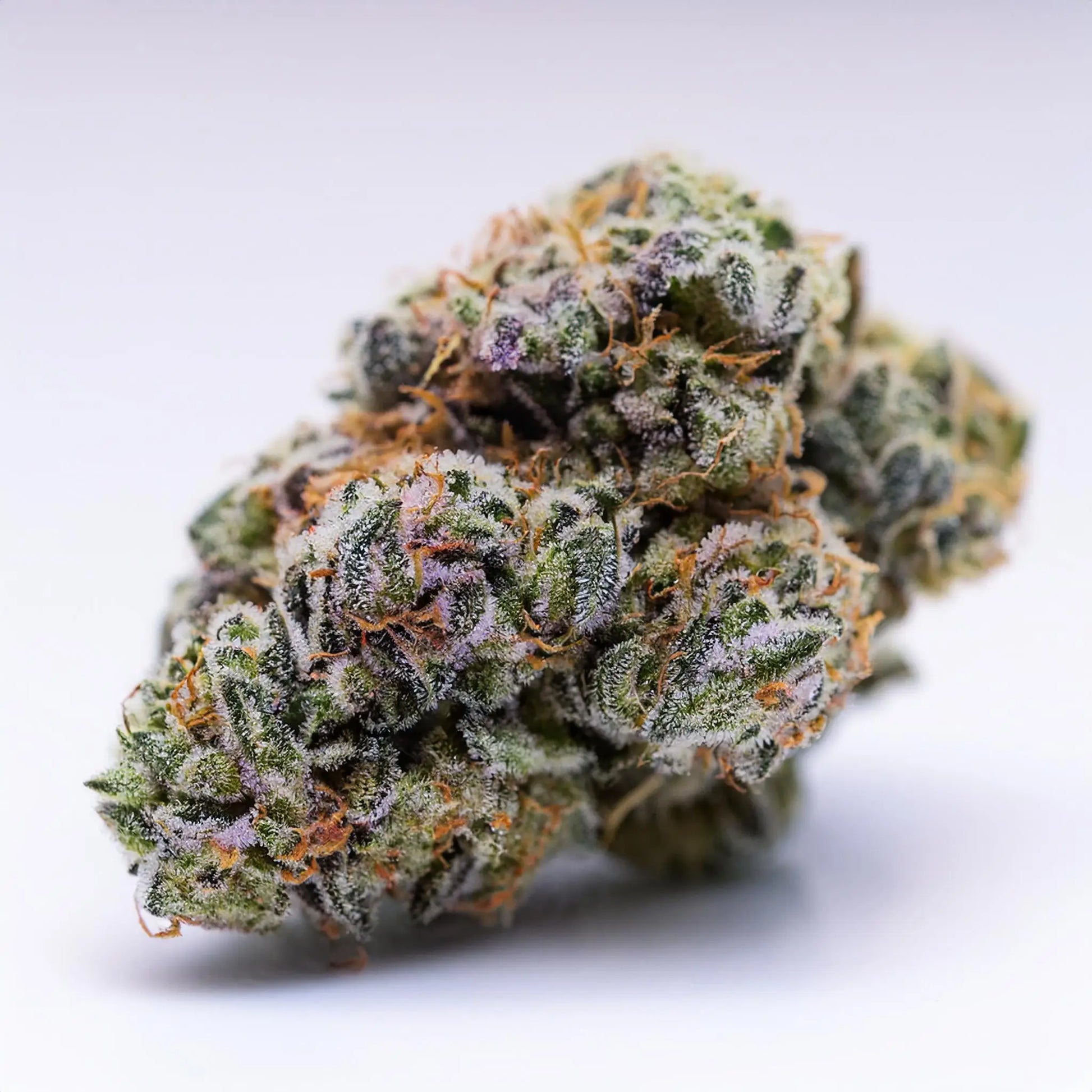Cereal Milk THCA Hemp Flower – Exotic Indoor Grown (AAA-Grade) – AAA-grade, indoor-grown hand-trimmed cannabis buds | Hurcann