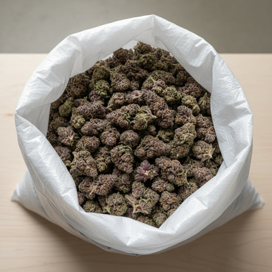 Grape Pie buds are dense and dark with deep purple tones, orange pistils, and a thick coating of milky trichomes.