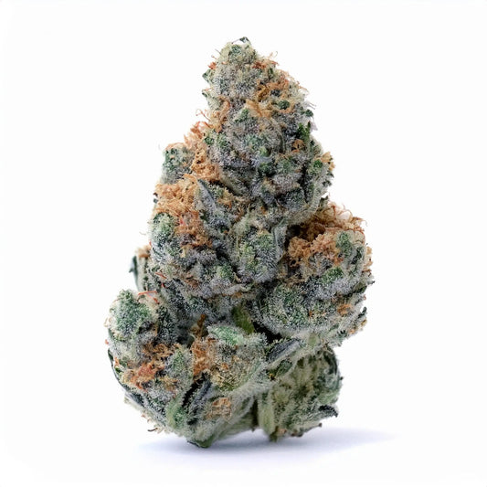 Gelato THCA Hemp Flower – Exotic Indoor Grown (AAA-Grade) – AAA-grade, indoor-grown hand-trimmed cannabis buds | Hurcann