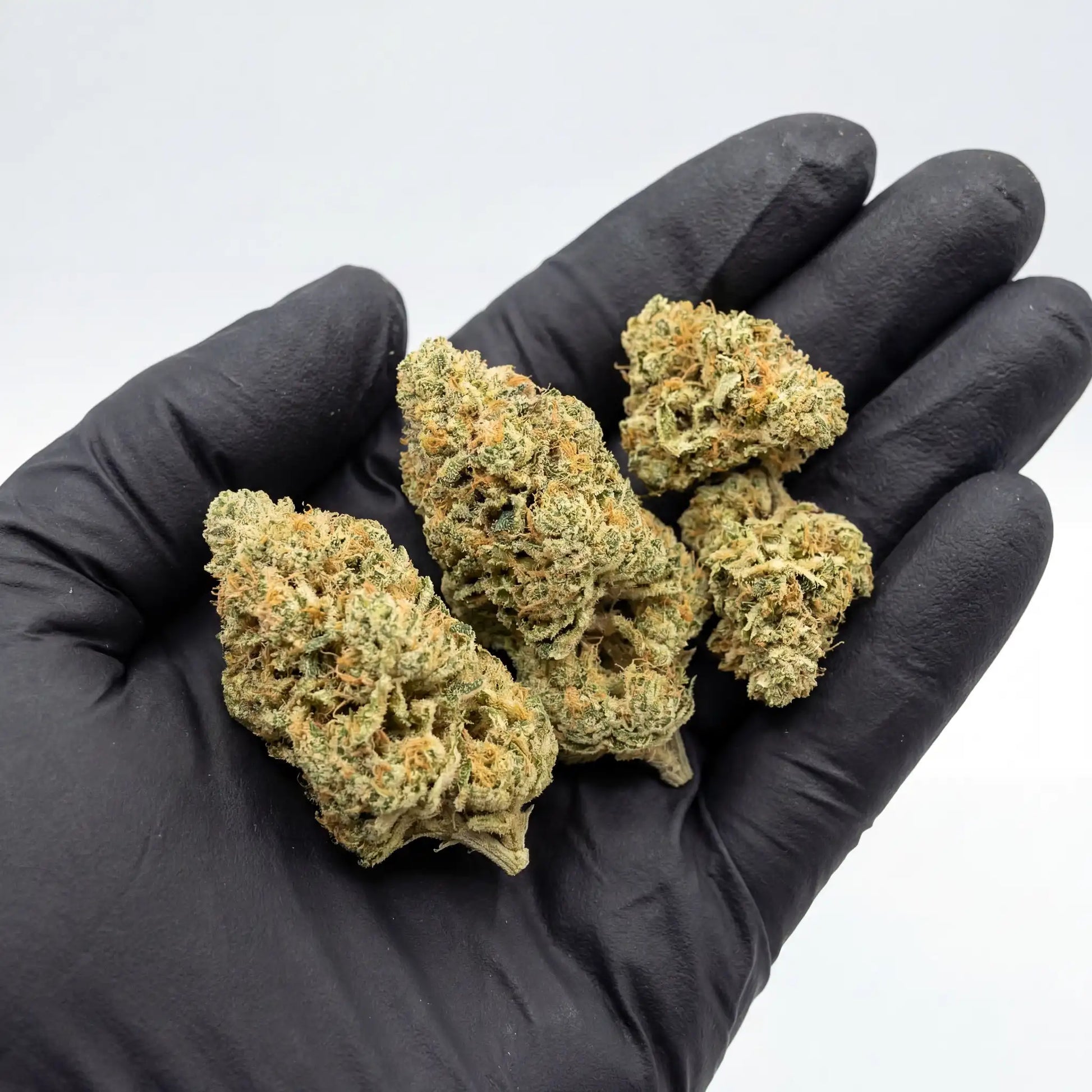 Black-gloved hand holding four Ice Cream Cake CBD flower buds on an open palm, showing bud size, dense trichome coverage, and prominent orange pistils against a light gray background | Hurcann
