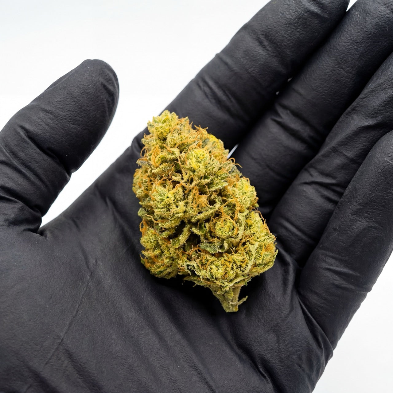Hand-inspected Lemon Octane CBD buds demonstrating natural size, density and trim quality. Each flower is selected to ensure consistent wholesale-grade presentation.