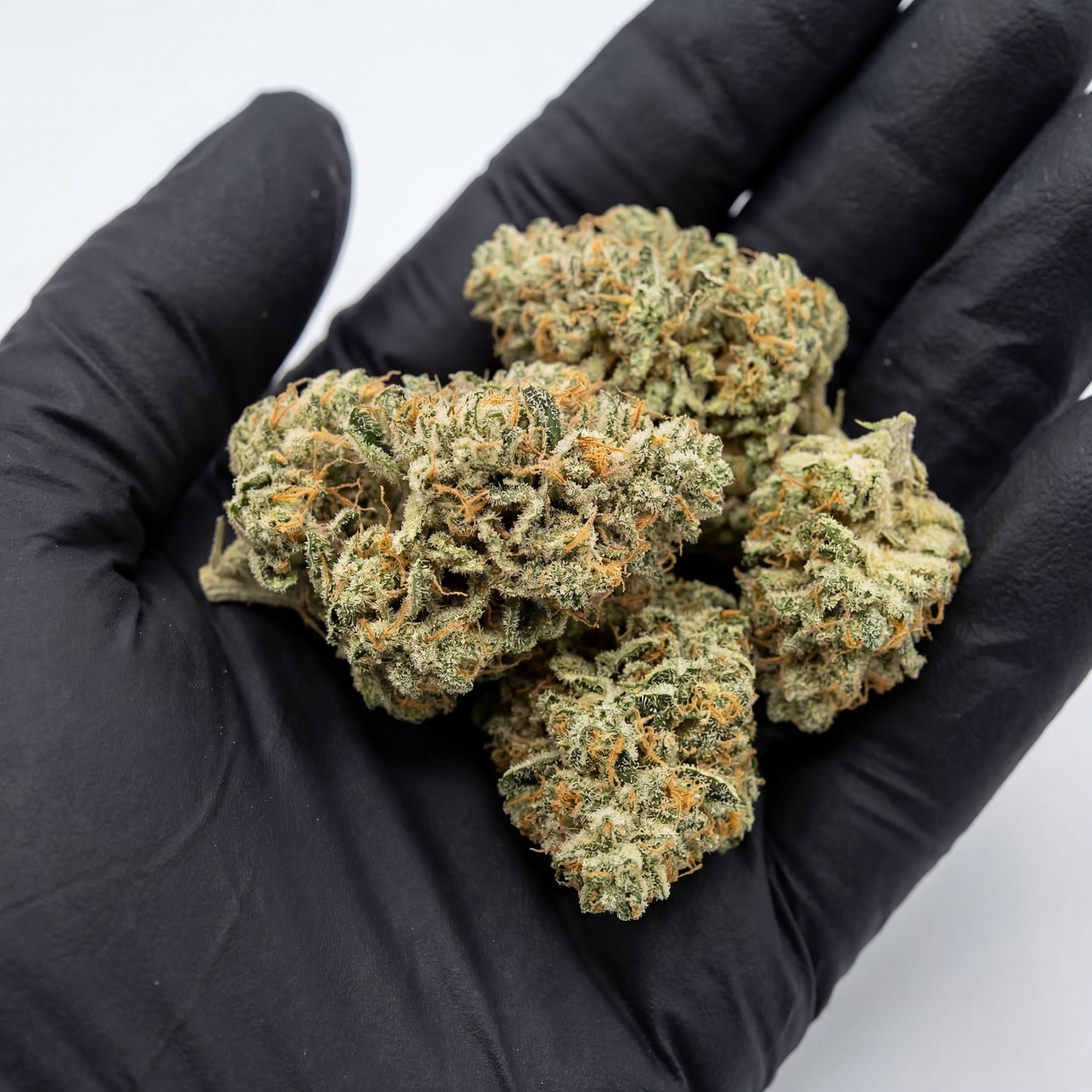Hand-inspected White Widow CBD buds demonstrating natural size, density and trim quality. Each flower is selected to ensure consistent appearance and wholesale-grade quality.
