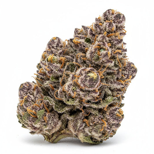 Grape Pie buds are dense and dark with deep purple tones, orange pistils, and a thick coating of milky trichomes. 